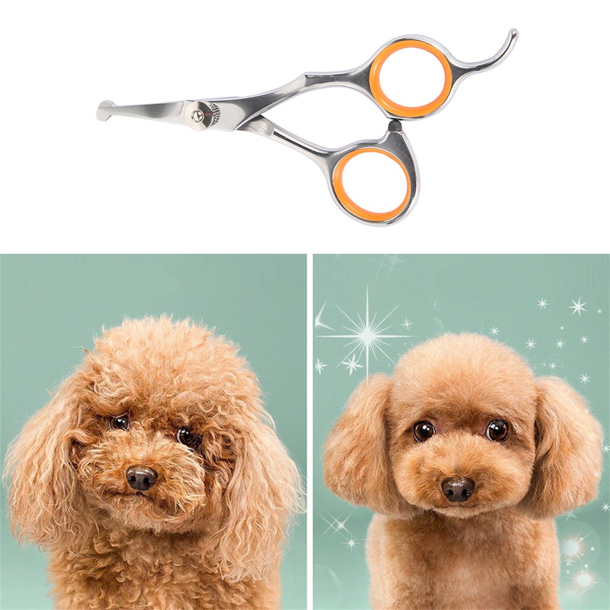 Pet Grooming Scissors Round Ti - Grooming Scissors ulasan dan harga