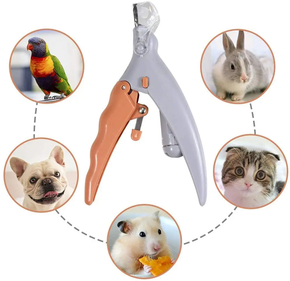Professional Pet Nail Clipper  - Grooming Scissors ulasan dan harga